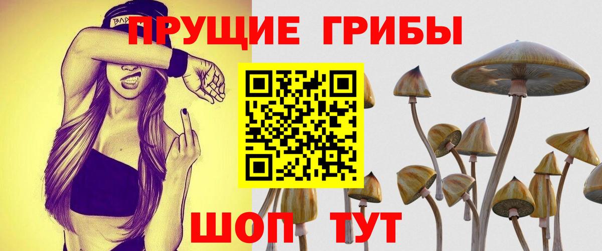 Галлюциногенные грибы ЛСД Златоуст