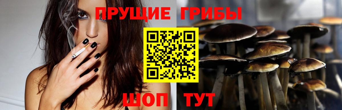 Златоуст  Псилоцибиновые грибы MAGIC MUSHROOMS  Вход с VPN 